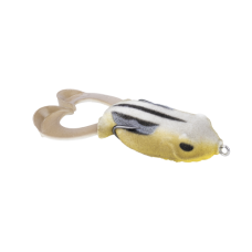 FROG SEN ATOMIC STRIPE VELVET