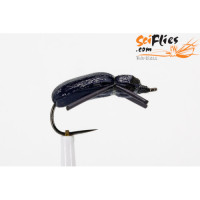 SFB GOOD DR HANS BEETLE PURPLE #6 3PK
