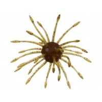 GY UNI GRN PUMPK PUR COPPER GY UNI GRN PUMPK PUR COPPER