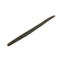 MCARTHY S BRISTLE WORM 4' KELP