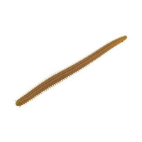 MCARTHY S BRISTLE WORM 4' MOTOROIL