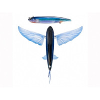 NOMAD FLYING FISH 140 ELECTRIC NOMAD FLYING FISH 140 ELECTRIC