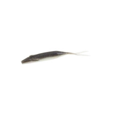 ZOOM WINGED FLUKE 5' GIZZARD SHAD